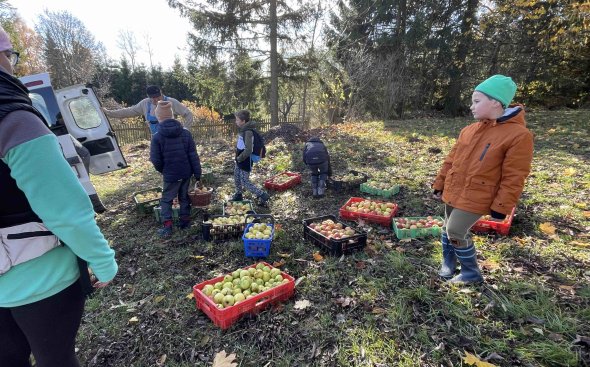 Obrázek galerie  19091