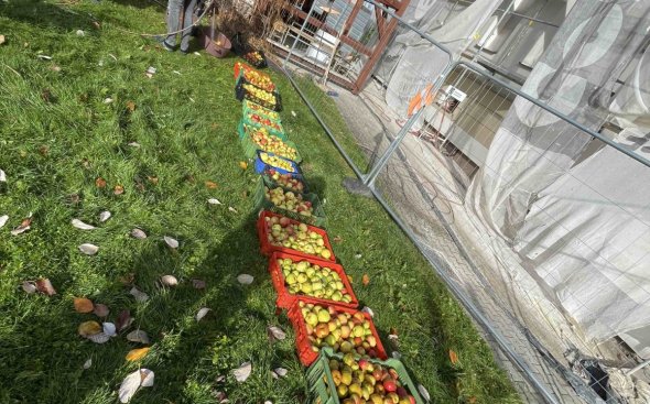 Obrázek galerie  19095