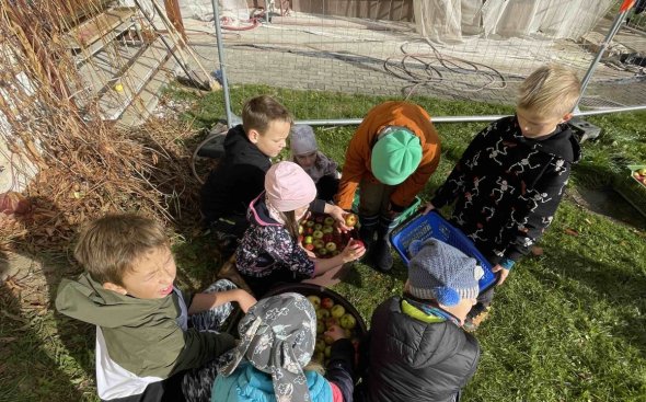 Obrázek galerie  19103