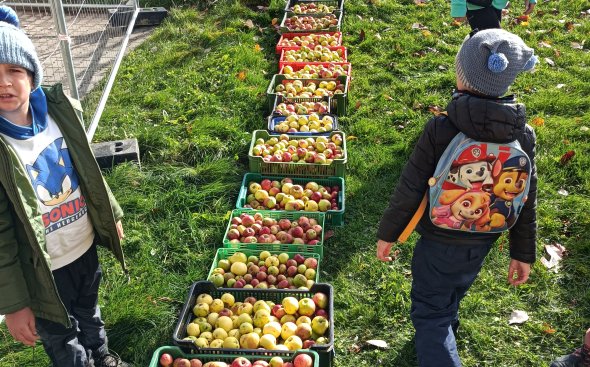 Obrázek galerie  19117