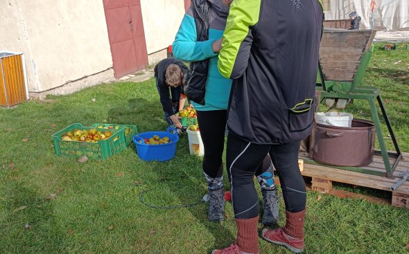 Obrázek galerie  19132