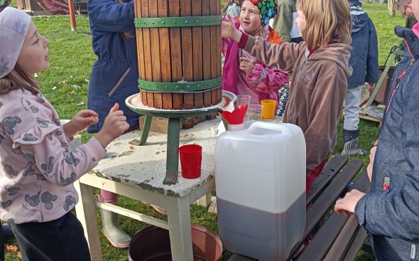 Obrázek galerie  19141