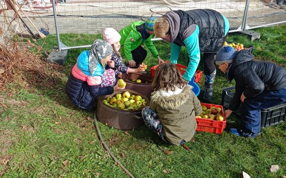 Obrázek galerie  19144