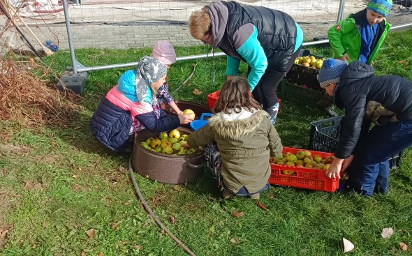 Obrázek galerie  19145