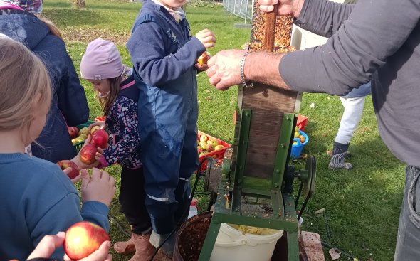 Obrázek galerie  19151