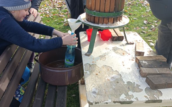 Obrázek galerie  19152