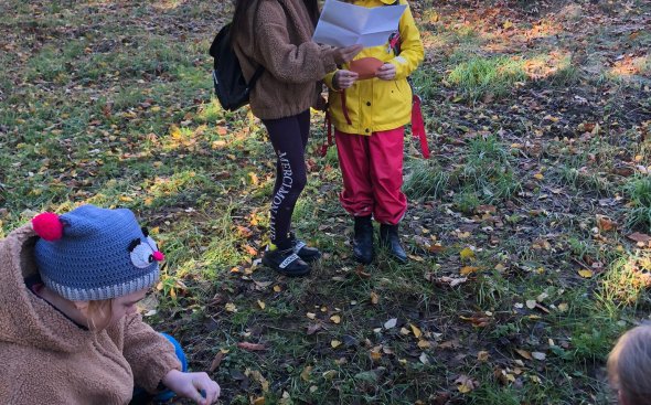 Obrázek galerie  19176