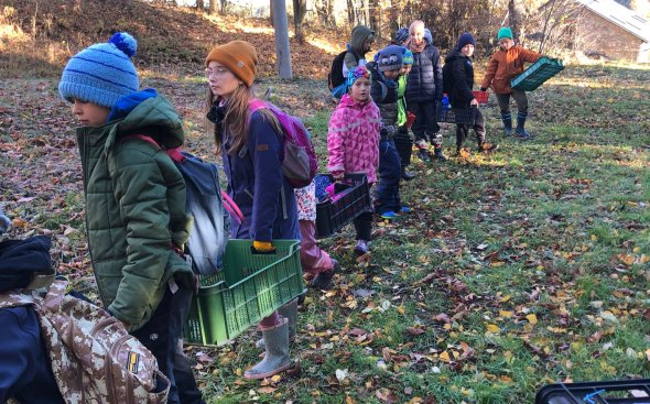 Obrázek galerie  19177