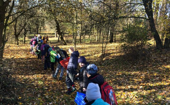 Obrázek galerie  19178