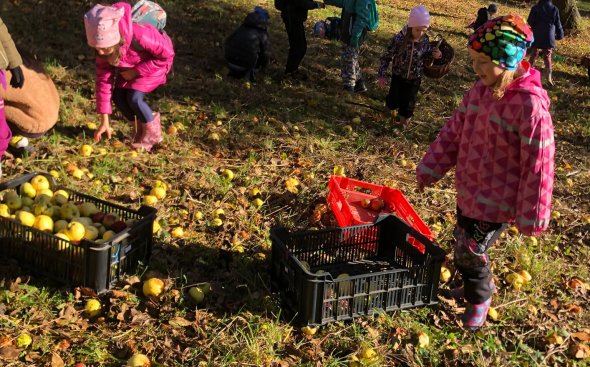 Obrázek galerie  19180