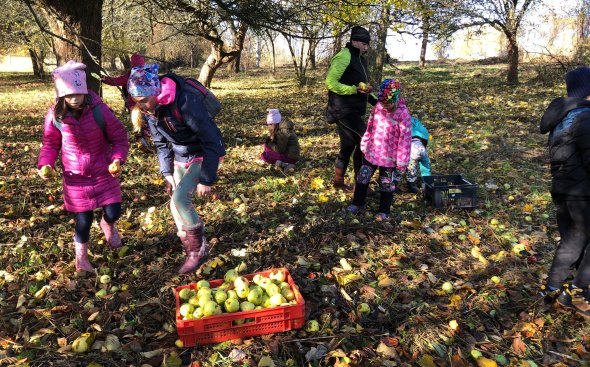 Obrázek galerie  19181