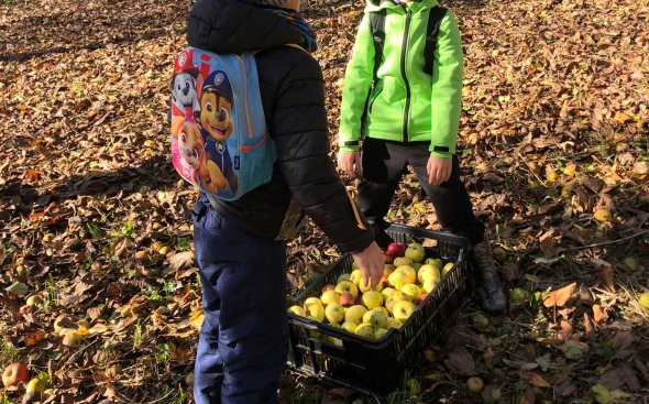 Obrázek galerie  19182