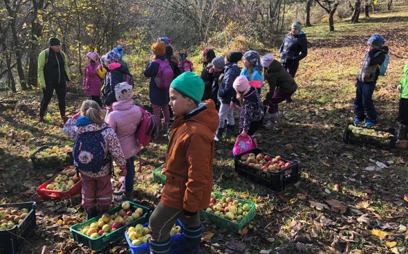 Obrázek galerie  19183