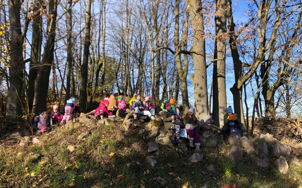 Obrázek galerie  19184