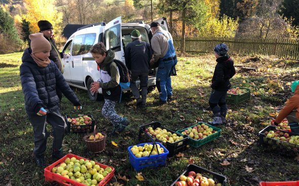 Obrázek galerie  19185