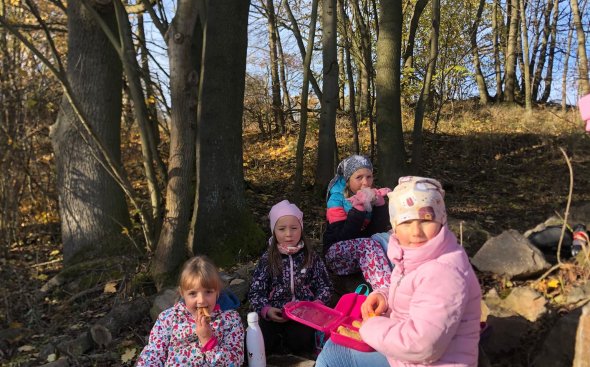 Obrázek galerie  19188