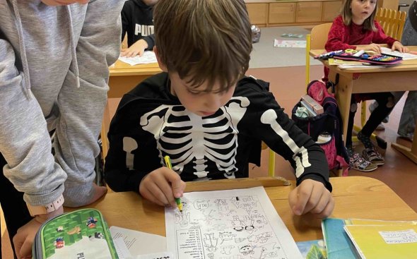 Obrázek galerie  19161