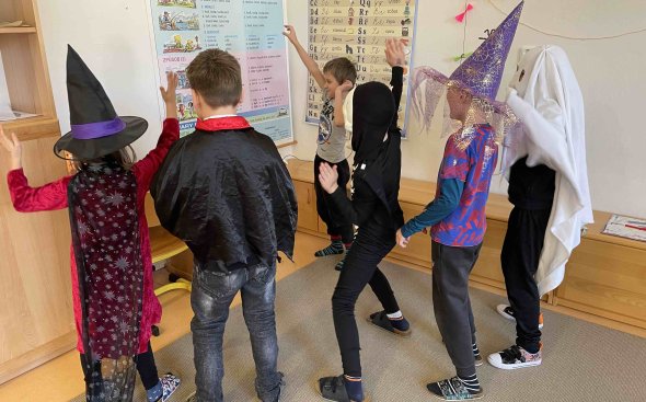 Obrázek galerie  19162