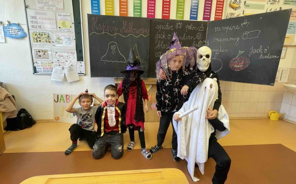 Obrázek galerie  19166