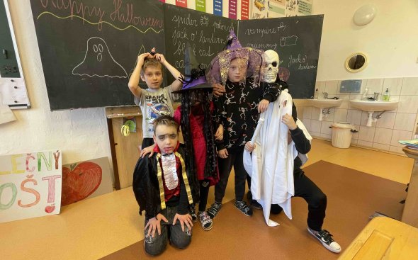 Obrázek galerie  19168