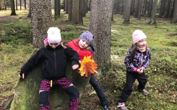 Obrázek galerie  19170