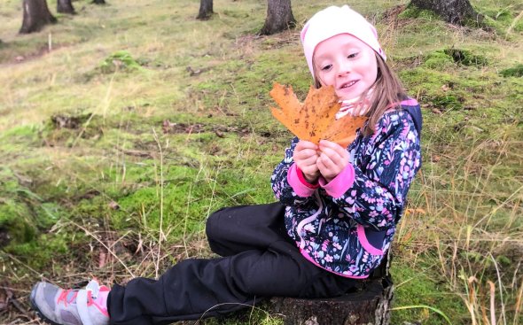 Obrázek galerie  19173