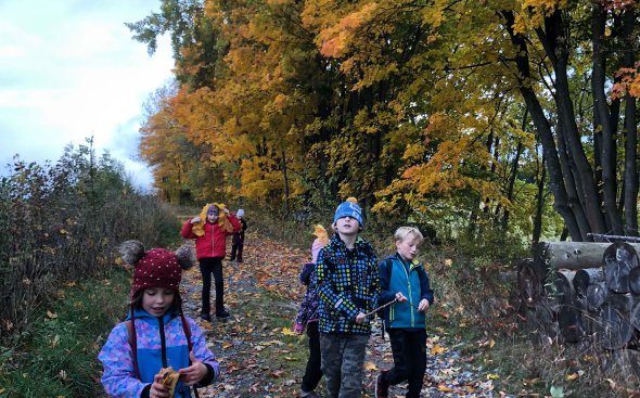 Obrázek galerie  19174