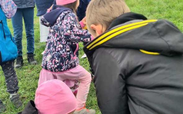 Obrázek galerie  19247