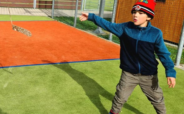 Obrázek galerie  19253