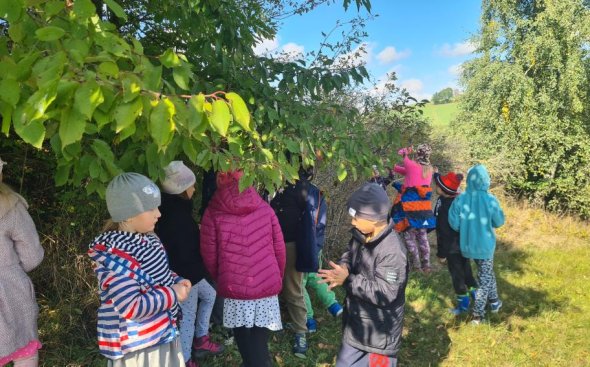 Obrázek galerie  19260