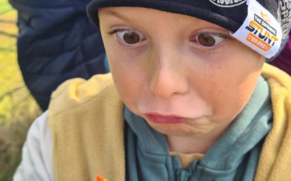 Obrázek galerie  19261