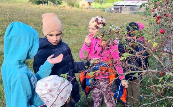 Obrázek galerie  19263