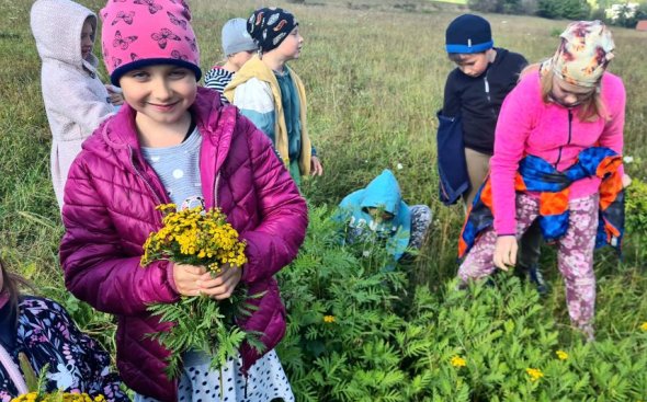 Obrázek galerie  19264