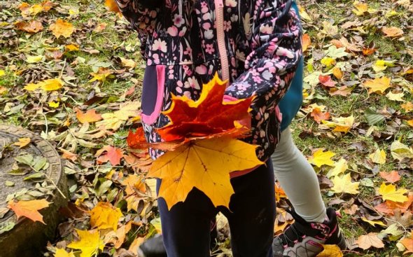 Obrázek galerie  19286