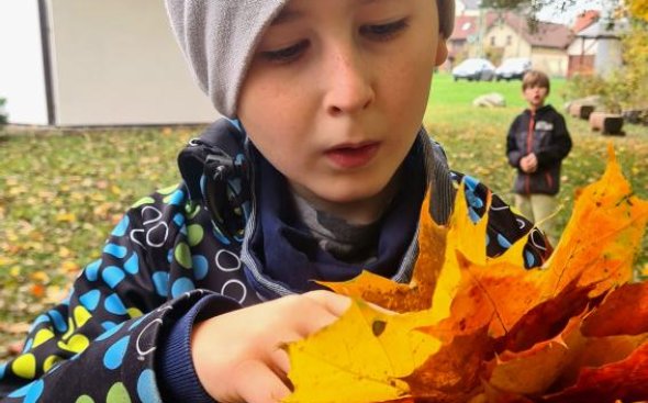 Obrázek galerie  19287