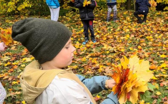 Obrázek galerie  19288