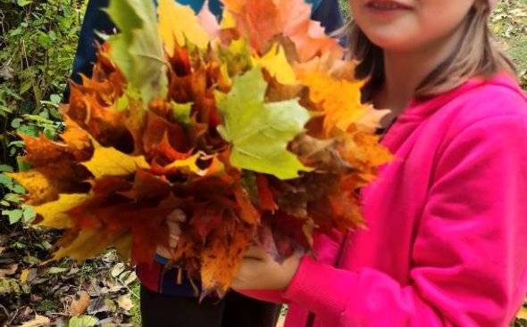 Obrázek galerie  19289