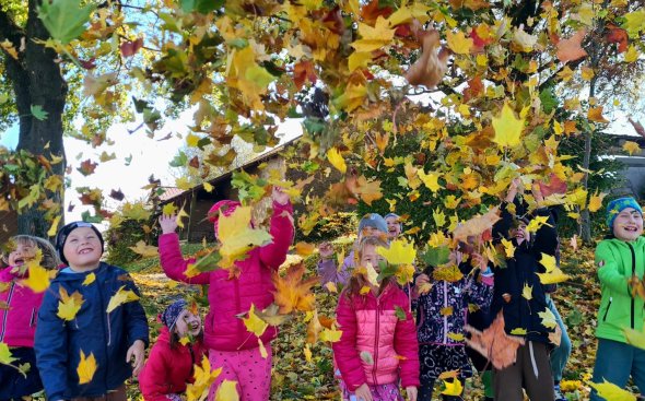 Obrázek galerie  19304