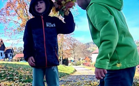 Obrázek galerie  19310