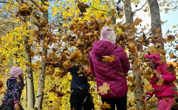 Obrázek galerie  19324