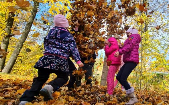 Obrázek galerie  19326