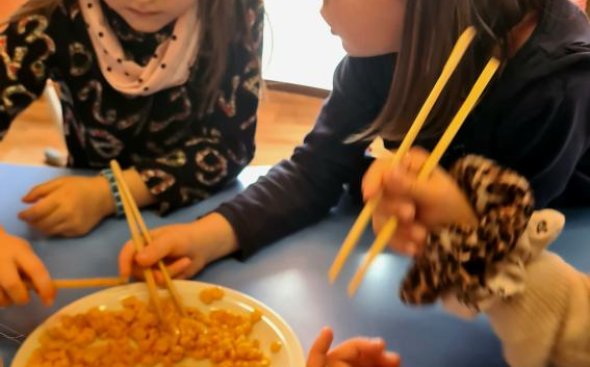 Obrázek galerie  19336