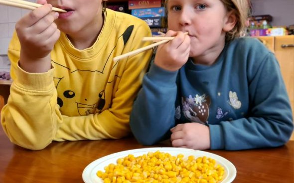 Obrázek galerie  19337