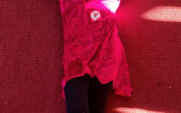 Obrázek galerie  19352