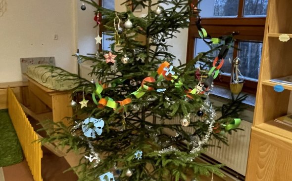 Obrázek galerie  19688