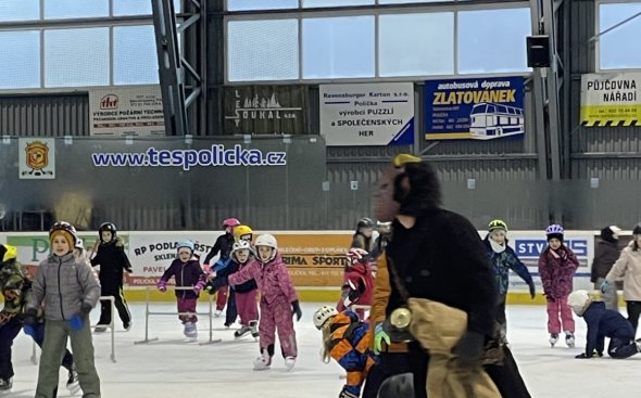 Obrázek galerie  19732