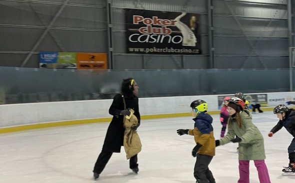 Obrázek galerie  19733