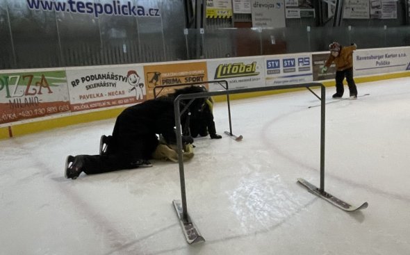 Obrázek galerie  19736