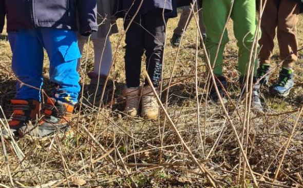 Obrázek galerie  20420