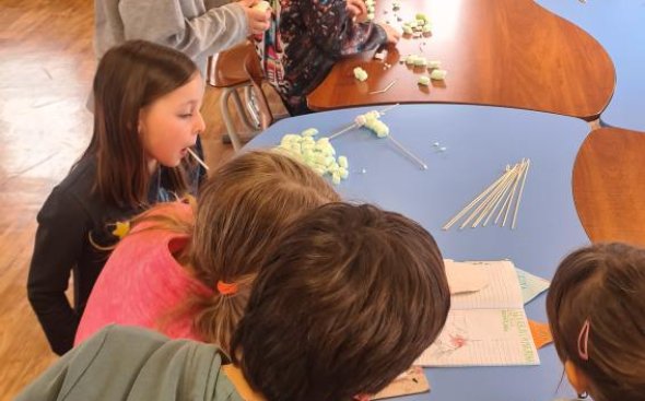 Obrázek galerie  20439